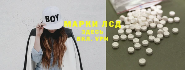 эйфоретик Богданович