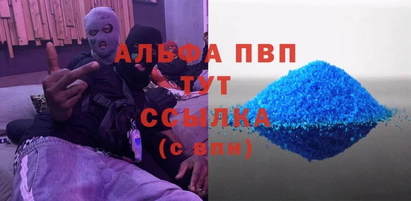 эйфоретик Богданович