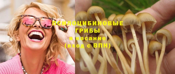эйфоретик Богданович